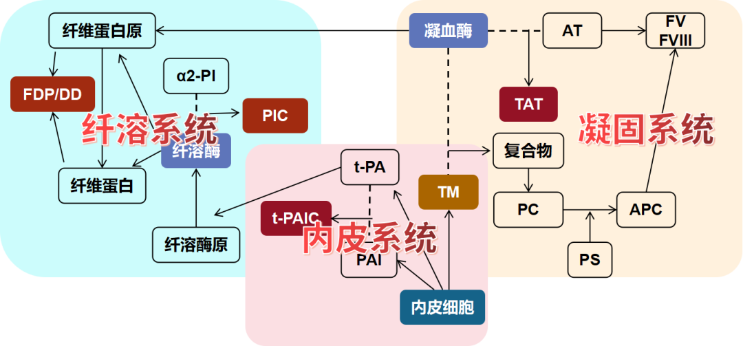 血栓性疾病的新型分子標志物—血栓四項